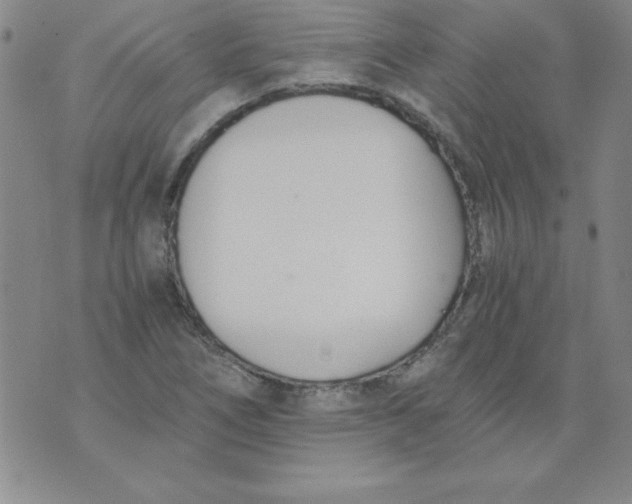 X0000073901266200609082139