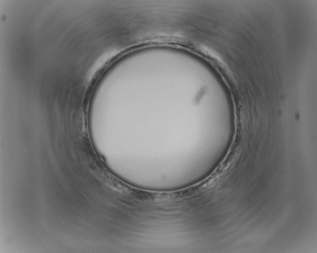 X0000073901267200609082139