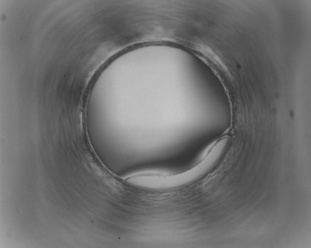 X0000073901268200609082139