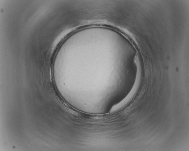 X0000073901271200609082139