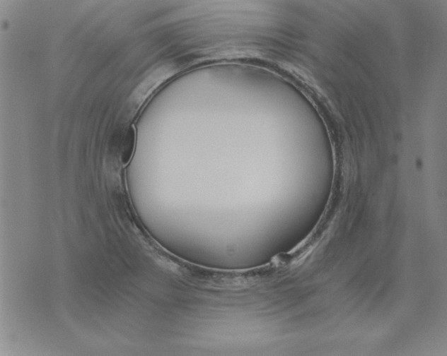 X0000073901273200609082139