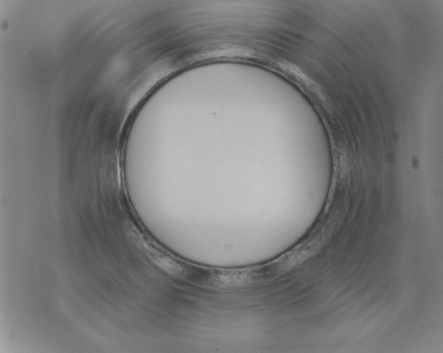 X0000073901274200609082139