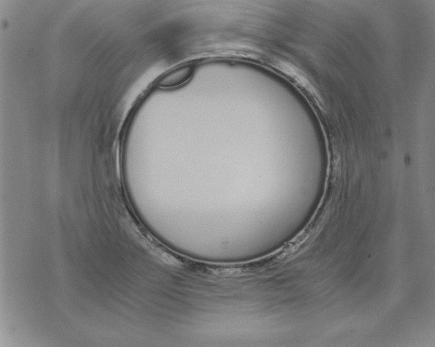 X0000073901275200609082139