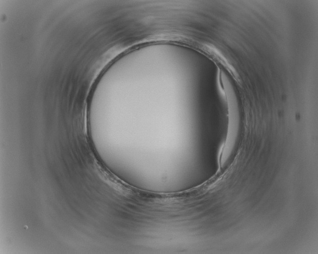 X0000073901276200609082139