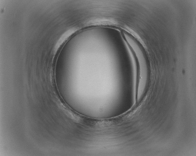 X0000073901277200609082139