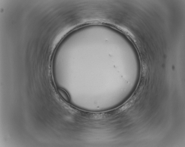 X0000073901279200609082138