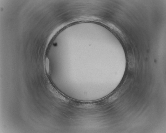 X0000073901280200609082138