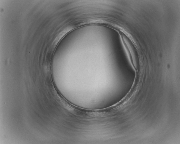 X0000073901281200609082138