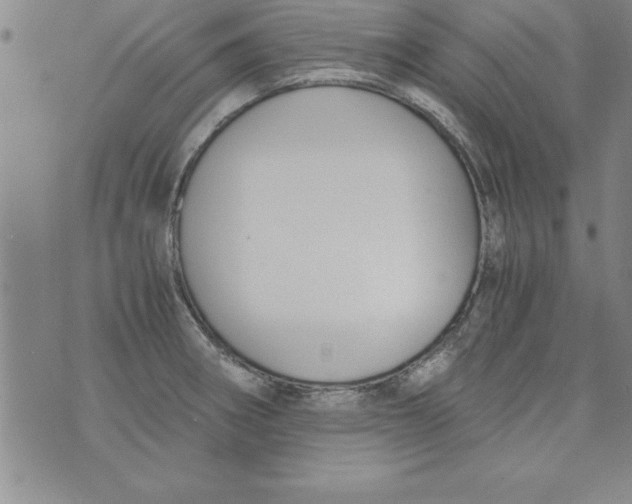 X0000073901282200609082138