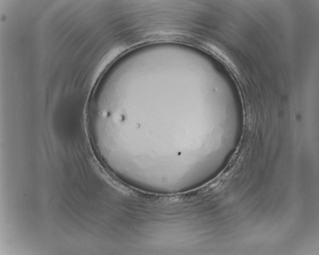 X0000073901283200609082138