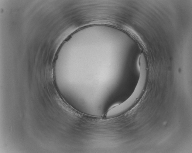 X0000073901284200609082138