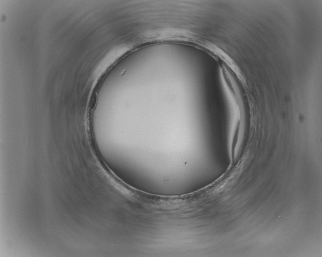 X0000073901285200609082138