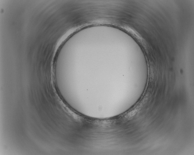 X0000073901286200609082138