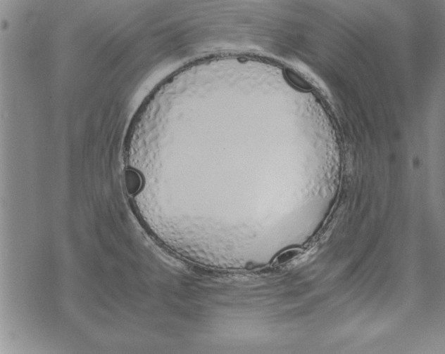 X0000073901287200609082138