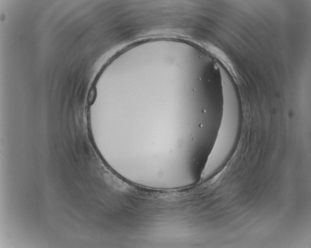 X0000073901288200609082138