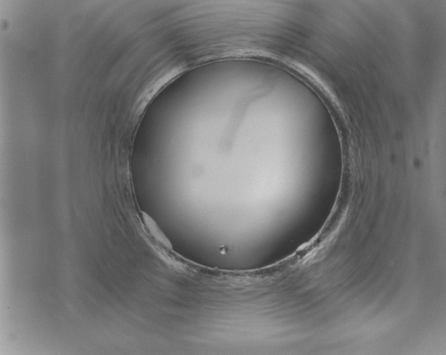 X0000073901289200609082138