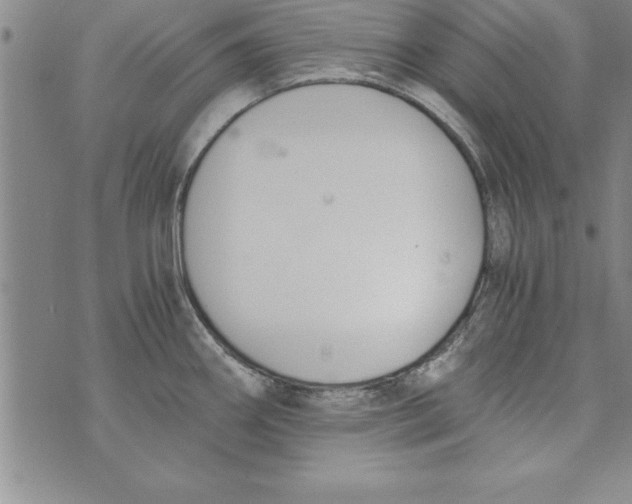 X0000073901290200609082138