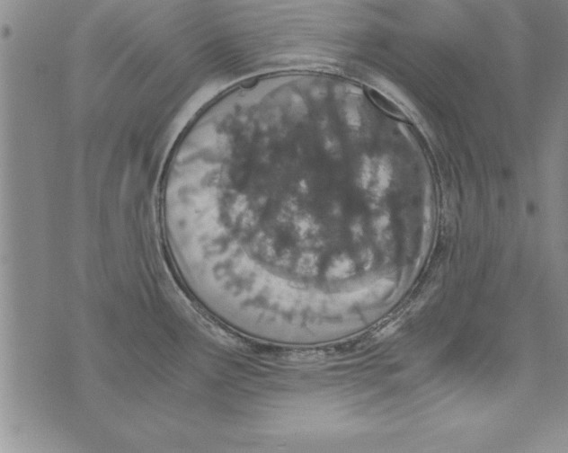 X0000073901291200609082138