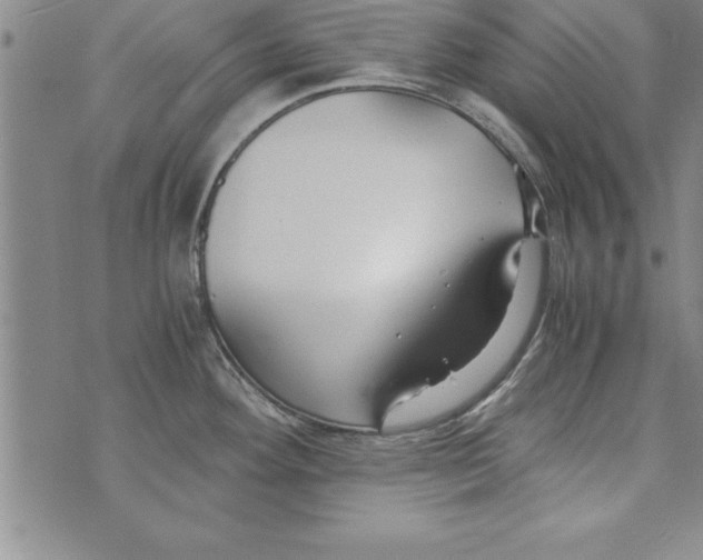 X0000073901292200609082138