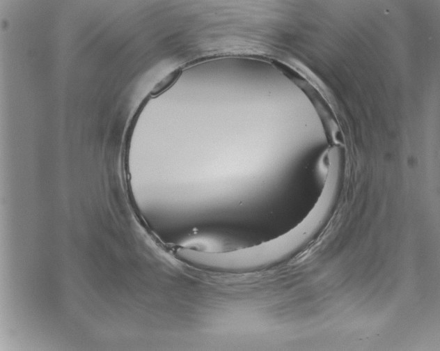 X0000073901293200609082138