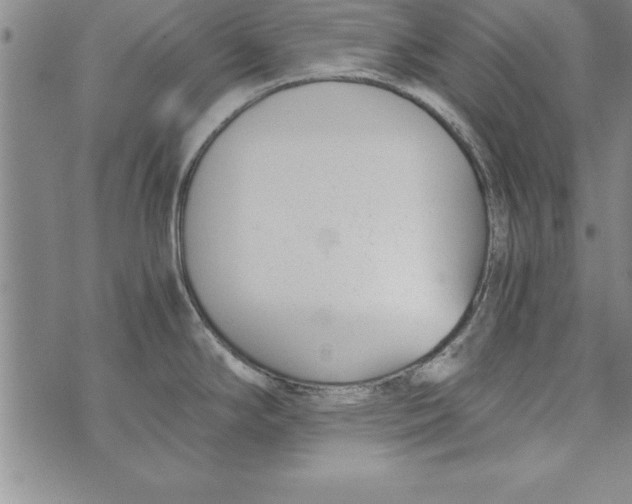 X0000073901294200609082138