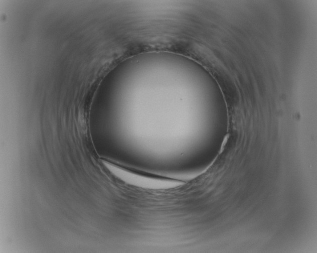 X0000073901298200609082137