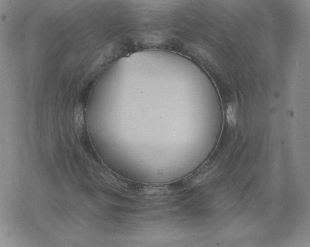 X0000073901299200609082137