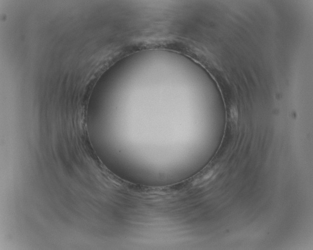 X0000073901300200609082138