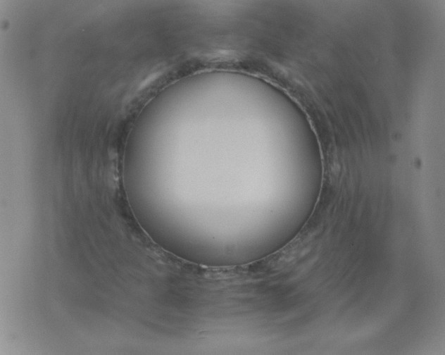 X0000073901301200609082138