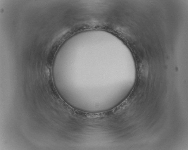 X0000073901302200609082138