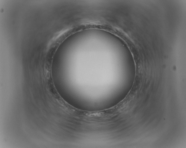 X0000073901303200609082138