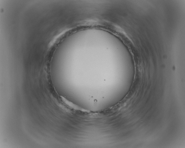 X0000073901304200609082138