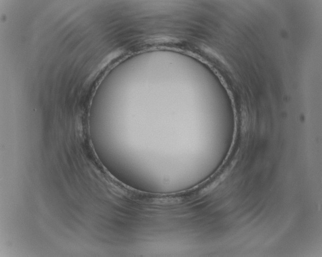 X0000073901305200609082138