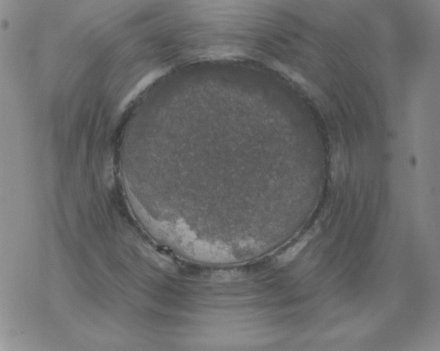 X0000073901306200609082138