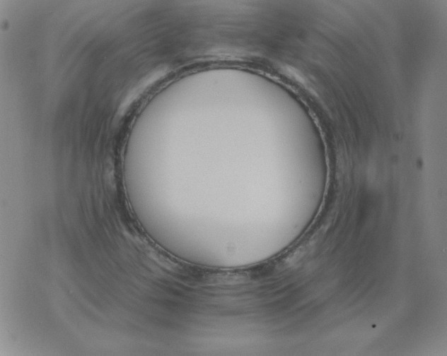 X0000073901307200609082138