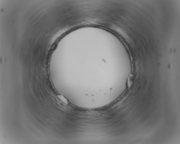 X0000073901308200609082138