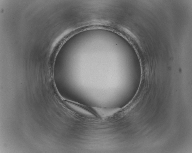 X0000073901310200609082138