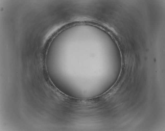 X0000073901311200609082138