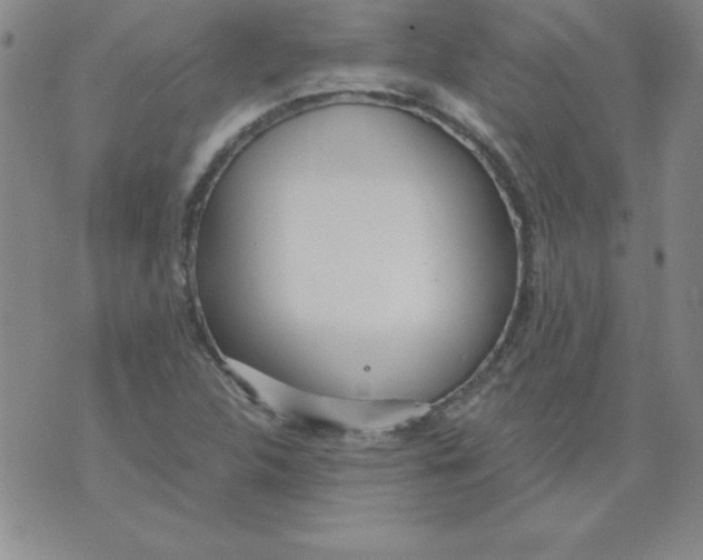 X0000073901312200609082138