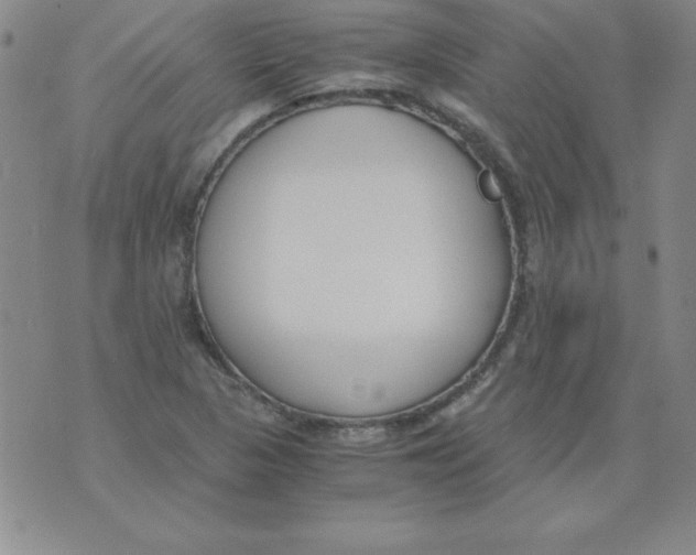 X0000073901313200609082138