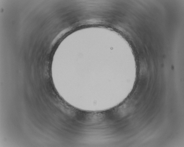 X0000073901314200609082138