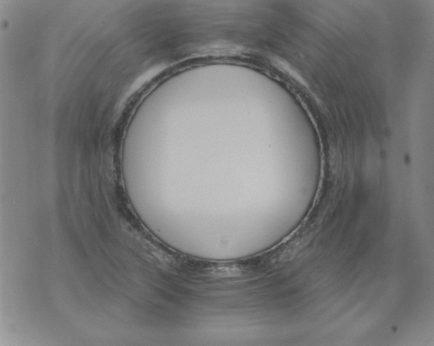 X0000073901315200609082138