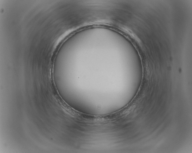 X0000073901316200609082138