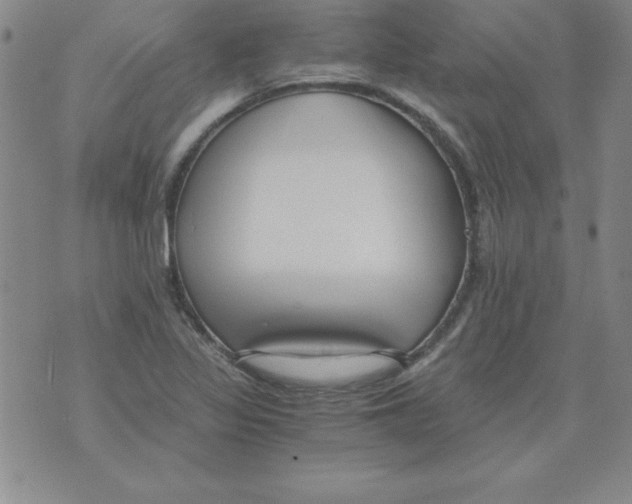 X0000073901317200609082138