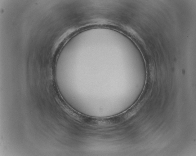 X0000073901318200609082138