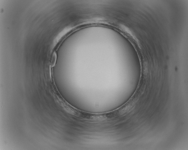 X0000073901320200609082138