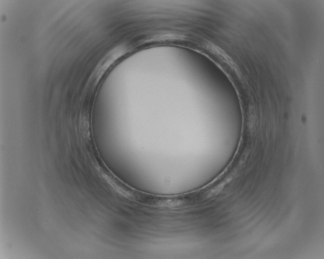 X0000073901321200609082138