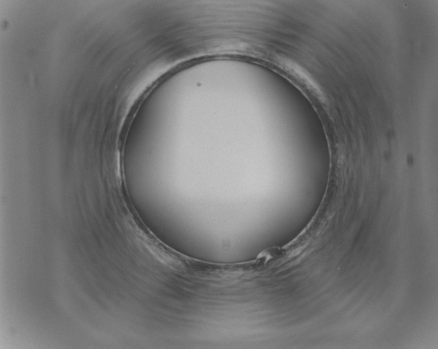 X0000073901324200609082138