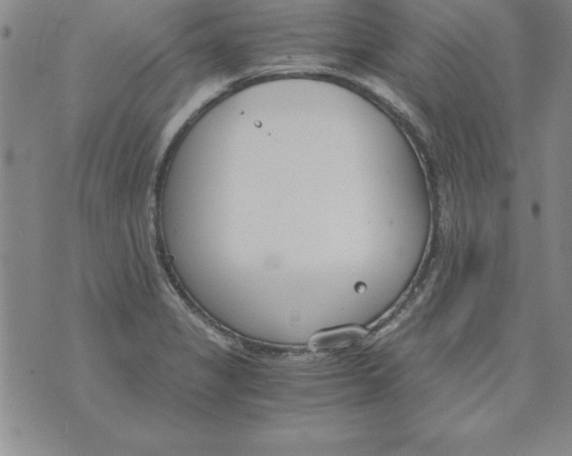 X0000073901325200609082138