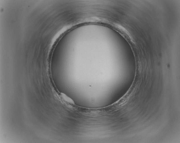 X0000073901326200609082138